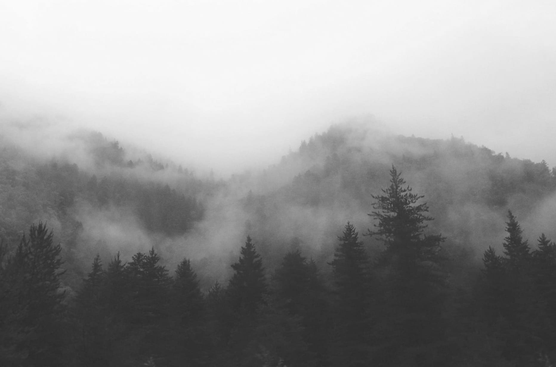 the grayscale essays.